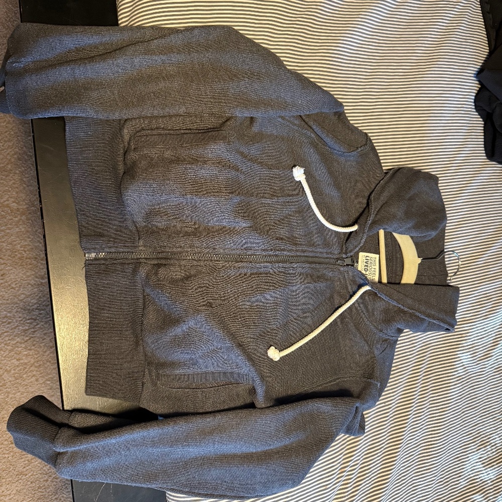 American Eagle cropped hoodie